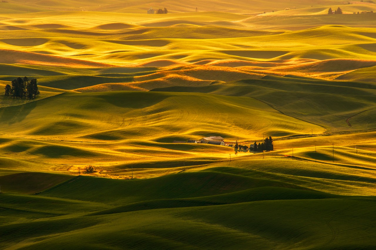 Sunrise over Palouse