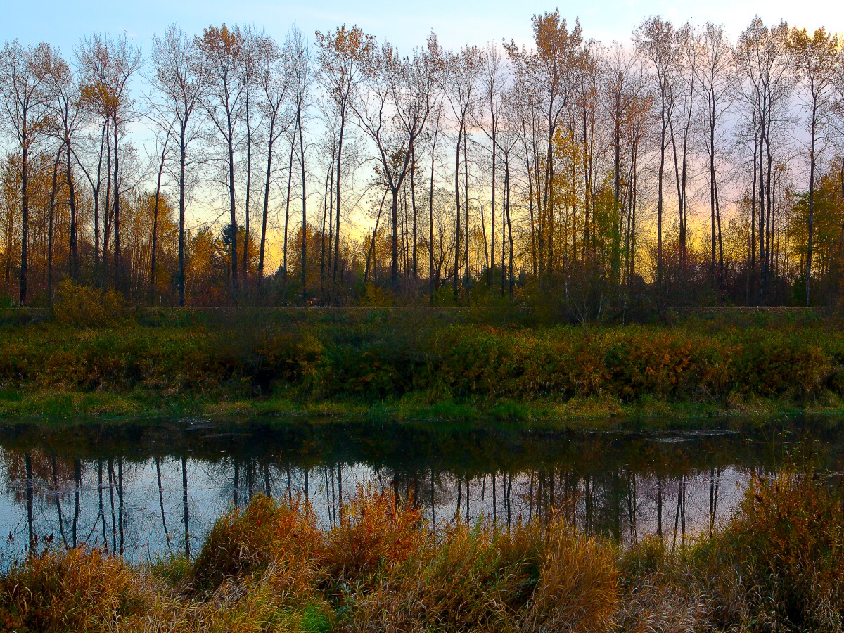 Debouville Slough at sunset