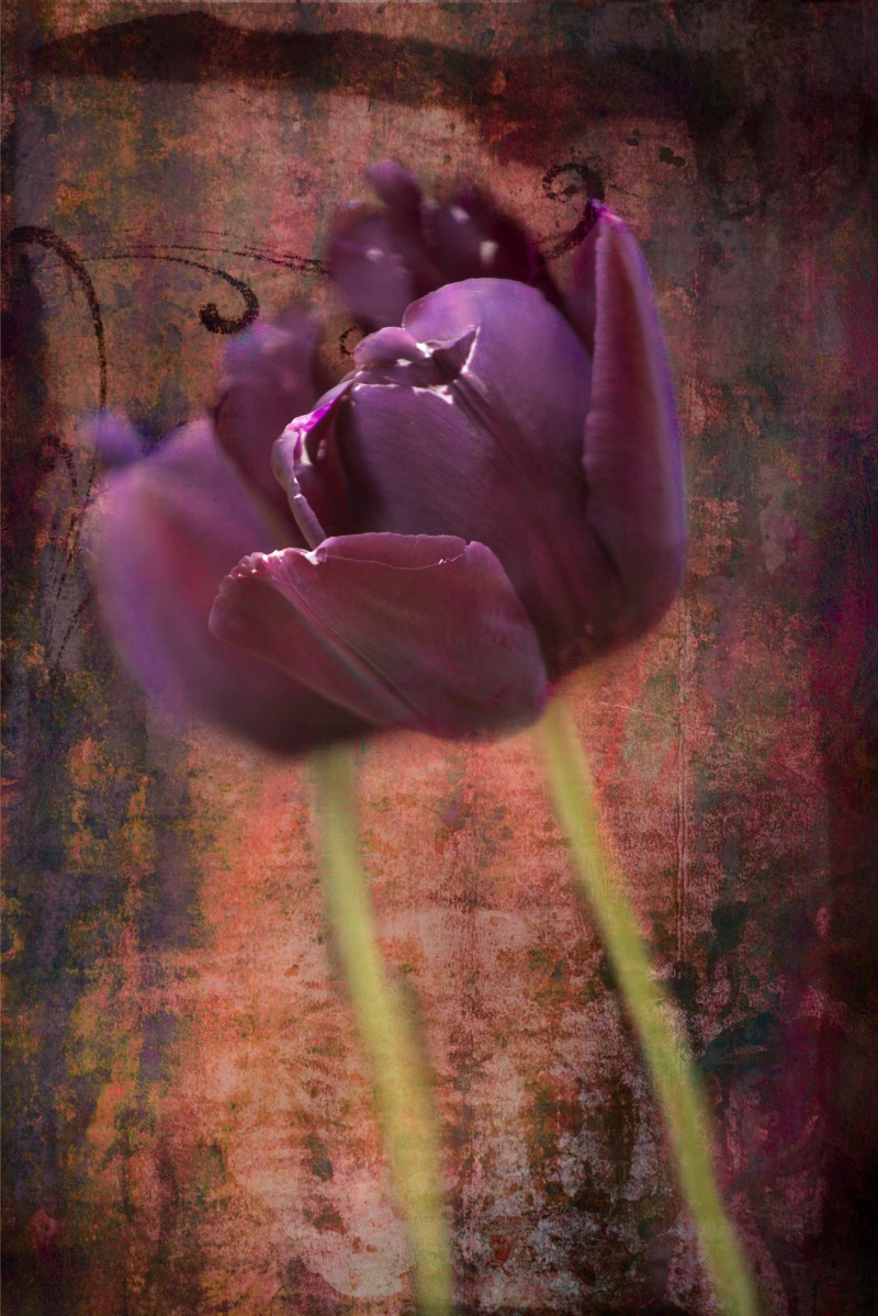 encaustic painting mixed media puple tulips