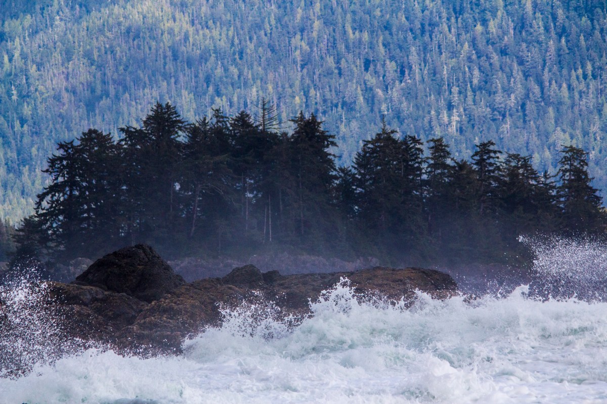 Tofino waves at the reef