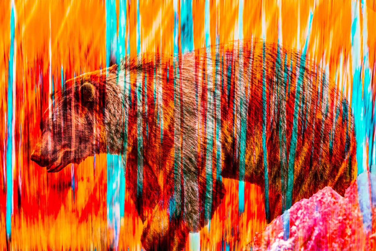 bear vanishing in forest mixed media