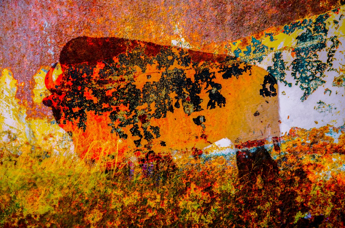 Vanishing Buffalo Digtal Composite