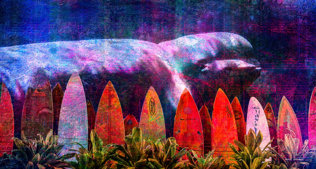 Vanishing Whale Digtal Composite